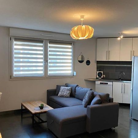 F2 Au Calme, Proche Gare, Center Parc, Sainte Croix Apartment Sarrebourg Exterior photo
